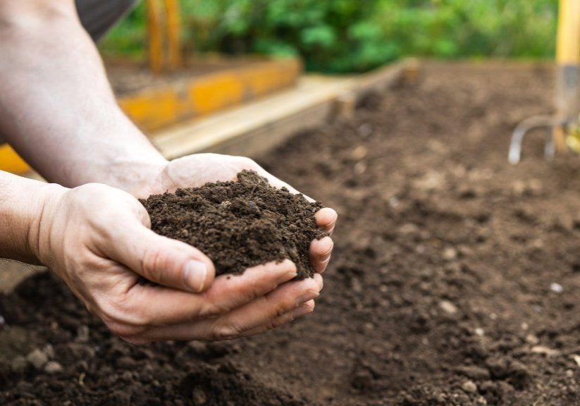garden-dirt-hands-00